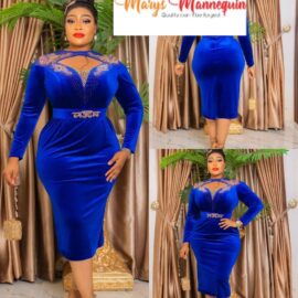 Velvet Royal Dress
